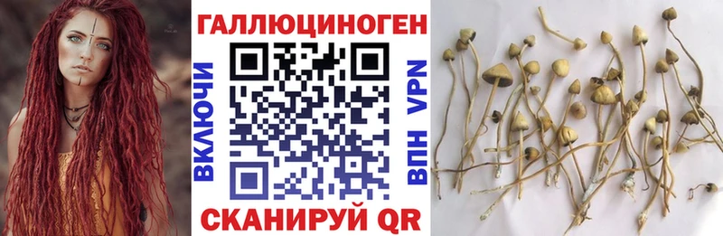 Галлюциногенные грибы мицелий  где купить наркоту  Сорочинск 